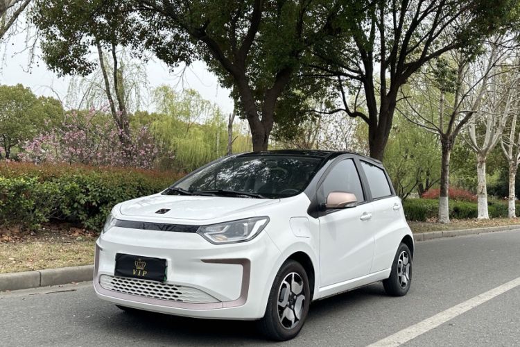 Used SOL E10X 2022 Flower Fairy Style Baby's Breath