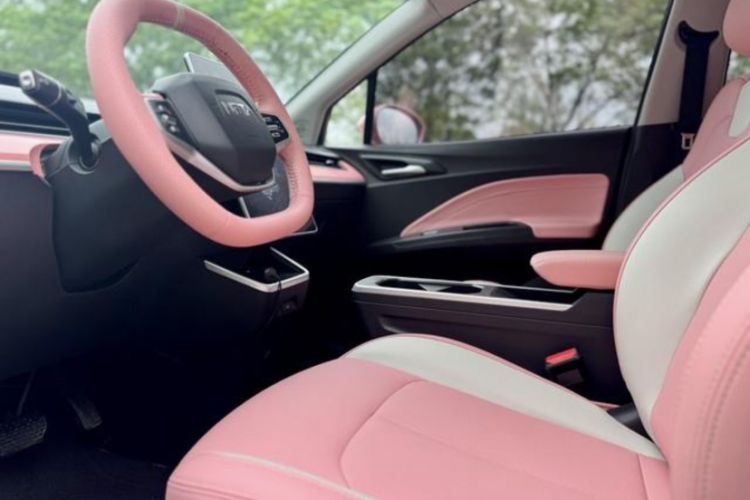 Used NETA V 2022 Chao 400 Lite Pink Custom Edition
