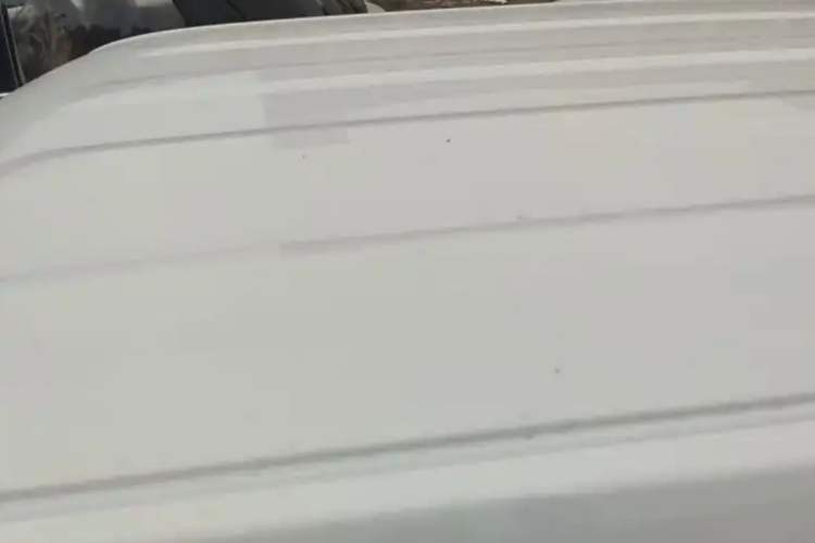 Used  Panda 2024 Panda Mini 200km Endurance Bear
