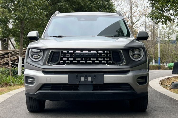 Used Haval H Dog New Energy 2023 DHT-PHEV 105km Tide Electric Version Plus