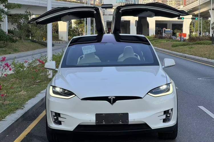 Used Tesla Model X 2019 Long-Range Version
