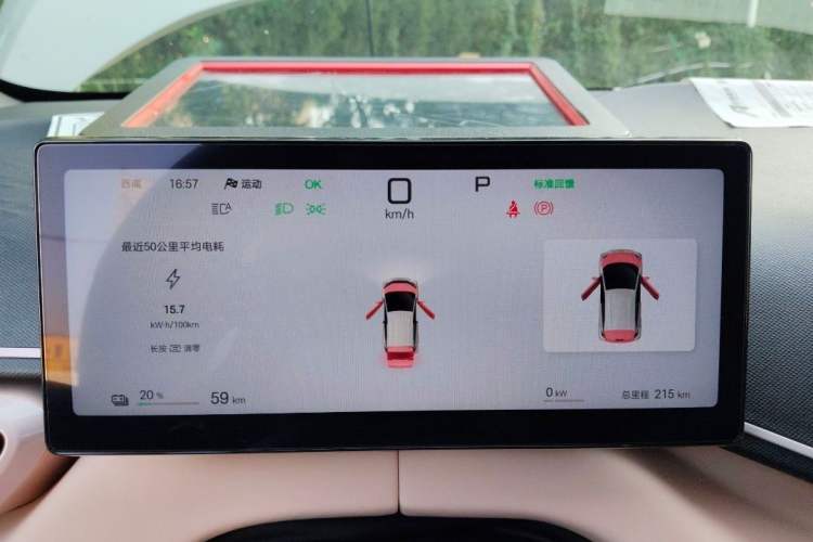 Used BYD Seagull 2025 Smart Drive Version 305 km Freedom Edition