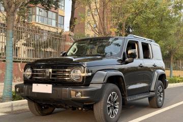 Used Tank 300 2023 City Edition 2.0T My Vision Model