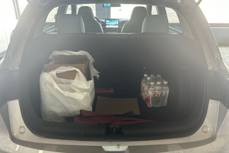 Used  Geome 2025 310km Youth Edition
