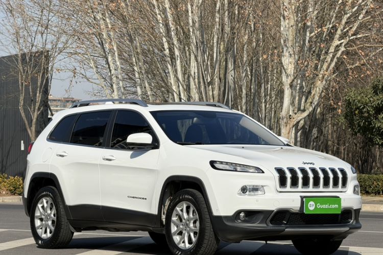 Used  Cherokee 2016 2.4L Professional Smart Version
