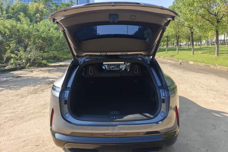 Used  07 2024 Max Extended-Range Edition