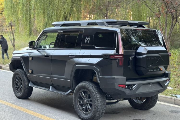 Used  917 2023 Pure Electric Base Model
