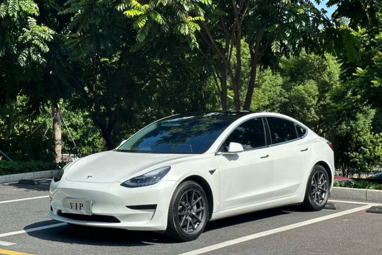 Used Tesla Model 3 2019 Standard Range Rear-Drive Upgraded Version
