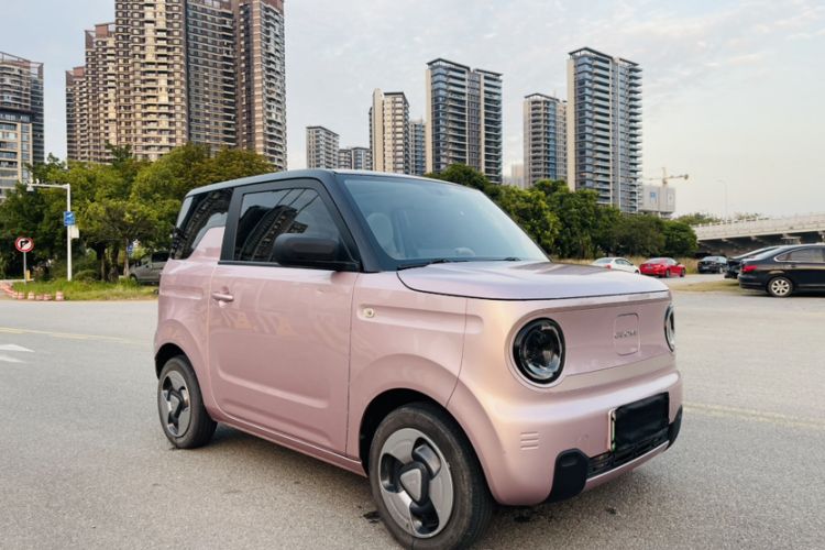 Used  Panda 2023 Panda Mini 200km Dynamic Bear