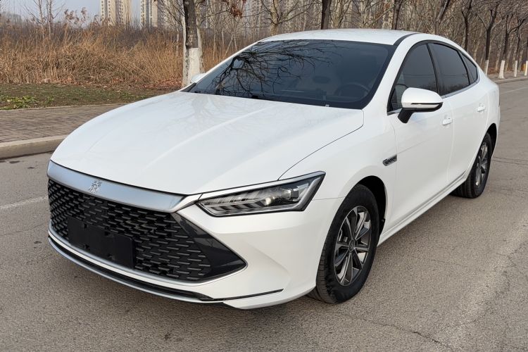 Used BYD Qin PLUS 2023 Champion Edition DM-i 55KM Leading Model