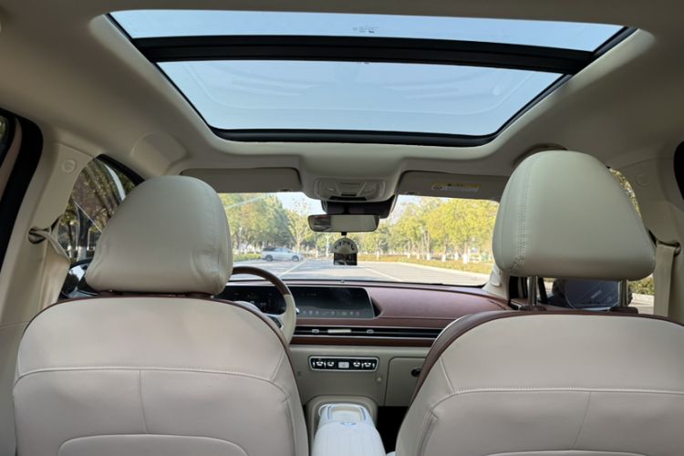 Used ORA Good Cat 2024 401 km Luxury Version
