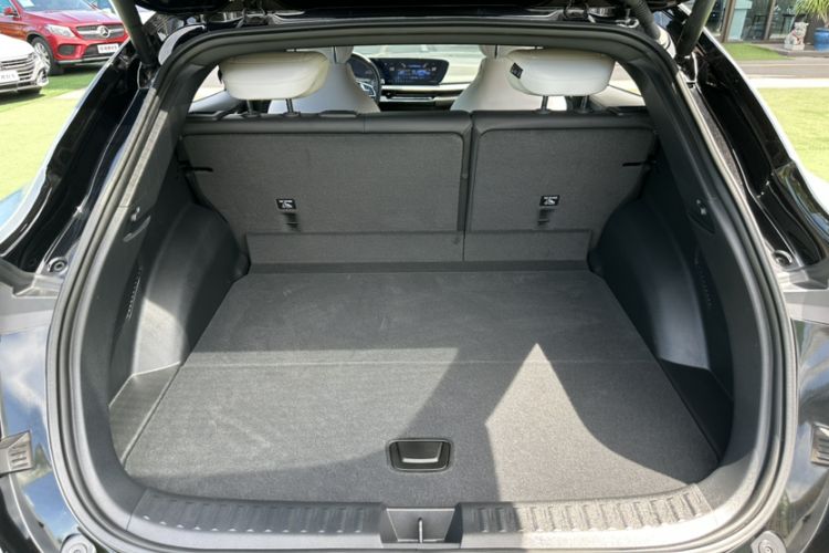 Used  07 2024 Max Pure Electric Edition
