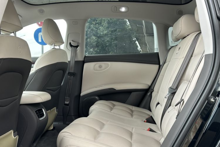 Used  LS6 2023 Max Standard Edition
