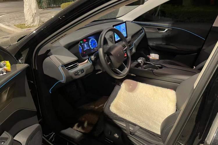 Used Hongqi E-QM5 2023 Revised Version Basic Travel Edition
