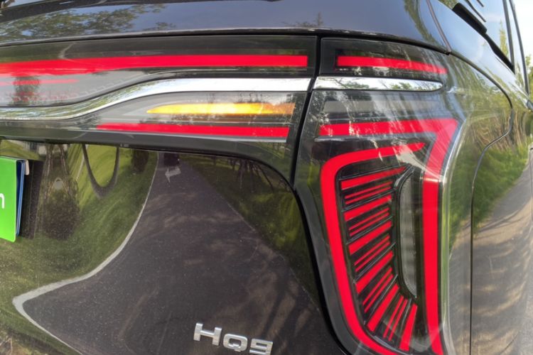 Used Hongqi HQ9 2023 2.0T Smart Connect Flagship Edition
