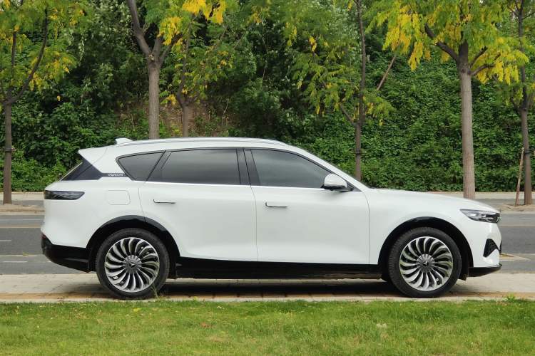 Used VOYAH FREE 2021 Four-Wheel Drive Extended-Range First Edition Commemorative Edition Exclusive Luxury Package
