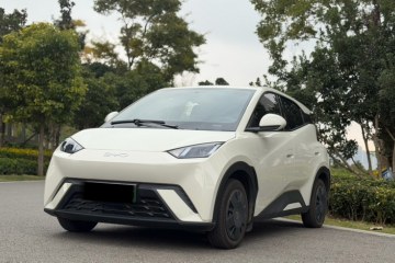 Used BYD Seagull 2025 305km Active Version