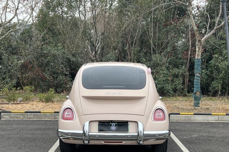 Used ORA Ballet Cat 2023 401 km Luxury Version