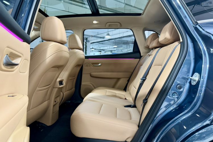 Used  E5 PLUS 2025 165 km Long-Range Version PLUS 5-Seater
