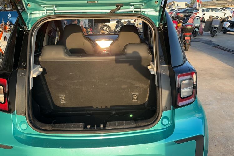 Used SOL E10X 2022 Flower Fairy Design Dandelion
