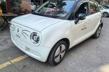 Used ORA Black Cat 2022 Updated Version 301 km Cute Pet Edition Lithium Iron Phosphate