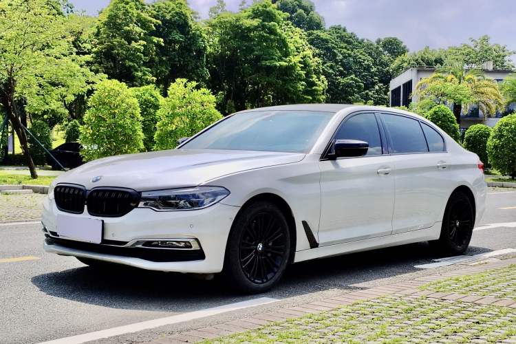 Used BMW 5 Series 2019 530Li Luxury Edition Premium Package
