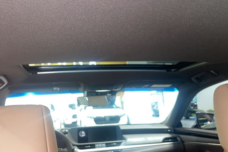 Used Lexus ES 2020 300h Premier Edition
