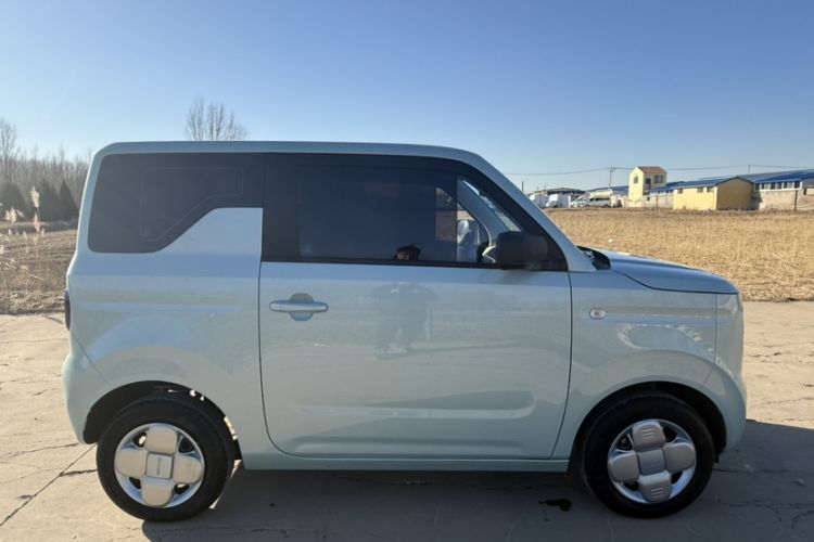 Used  Panda 2024 Panda Mini 200km Endurance Bear
