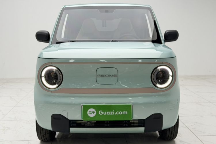 Used  Panda 2023 Panda Mini 120km Asian Games Edition