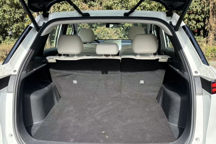 Used Venucia VX6 2023 520 Max