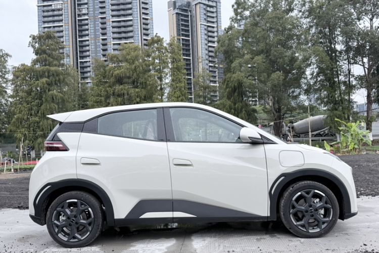 Used BYD Seagull 2025 305 km Free Version
