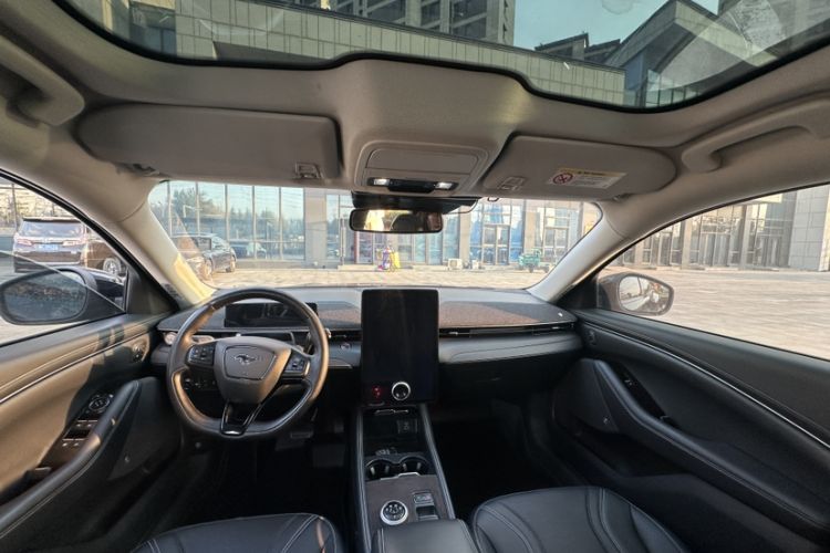 Used Ford Mustang Mach-E 2021 AION Y Plus Rear-Drive Luxury Edition (Long Range)