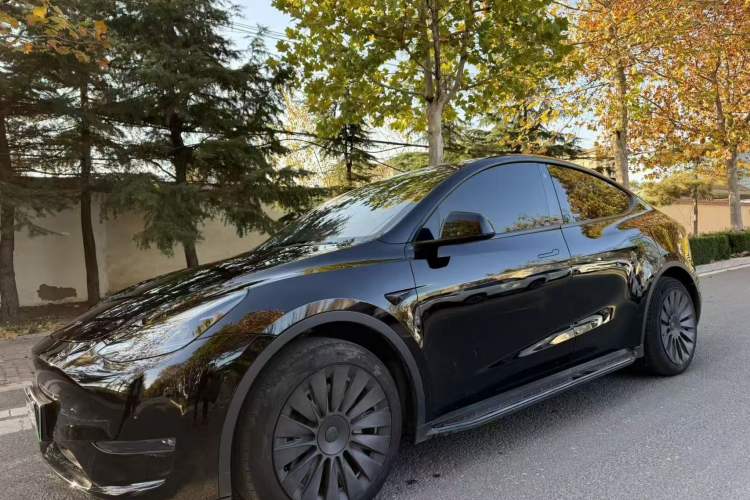 Used Tesla Model Y 2021 Standard Range Rear-Wheel Drive Version