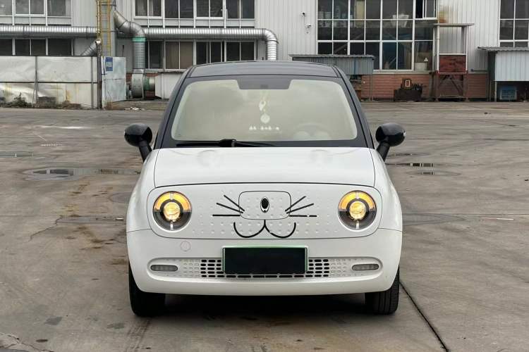 Used ORA Black Cat 2021 351 km Standard Version
