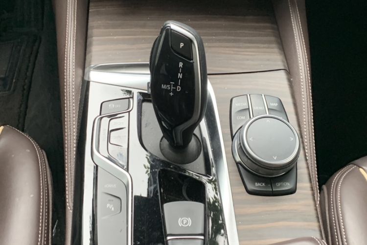 Used BMW 5 Series New Energy 2019 530Le Luxury Package