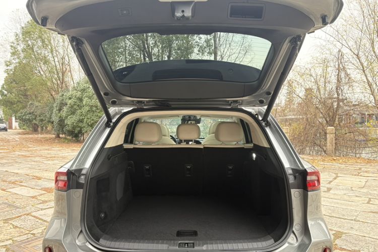 Used  Lingyun 2024 400T Two-Wheel-Drive Star Prestige Edition
