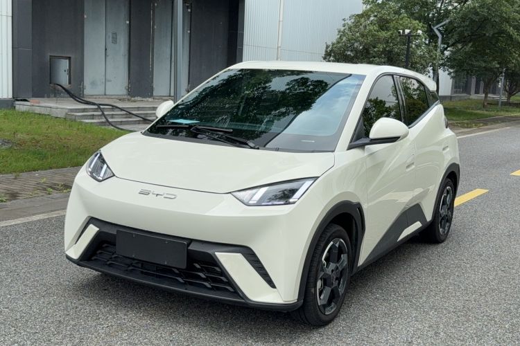 Used BYD Seagull 2023 Free Edition
