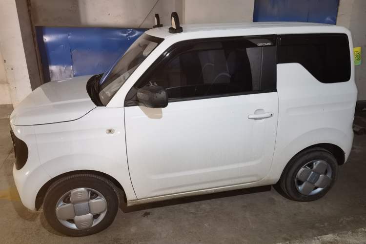 Used  Panda 2023 Panda Mini 200km Endurance Bear
