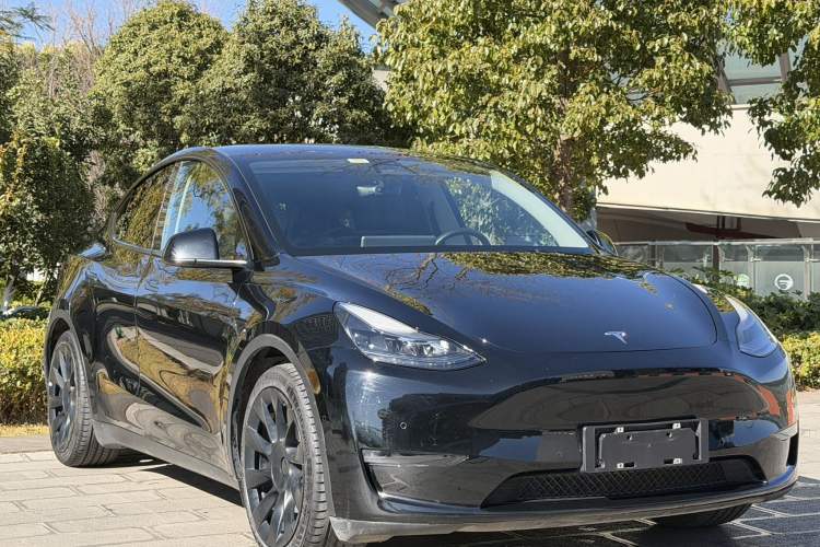 Used Tesla Model Y 2021 Standard Range Rear-Wheel Drive Version