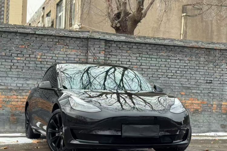 Used Tesla Model 3 2022 Rear-Wheel-Drive Version
