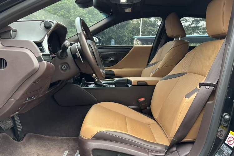 Used Lexus ES 2018 260 Excellence Edition China VI Standard
