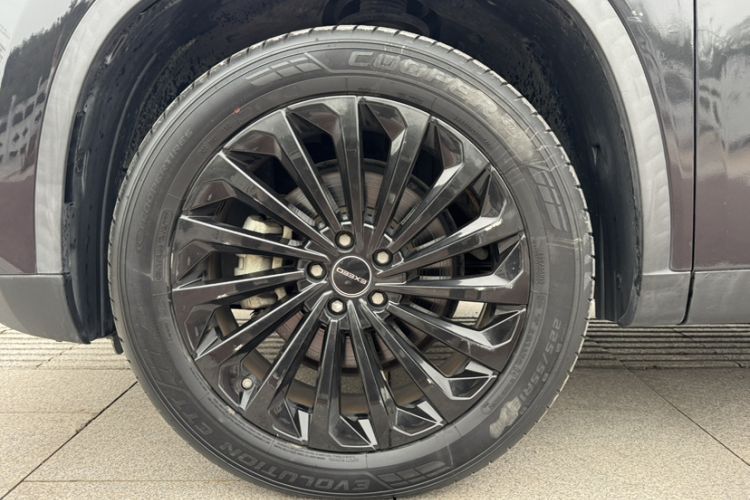 Used  Lingyun 2021 290T Two-Wheel Drive Starry Edition
