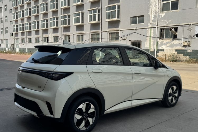 Used BYD Dolphin 2025 420km Free Edition