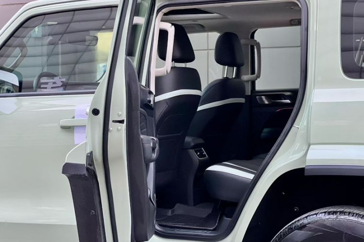 Used Tank 300 2021 City Edition 2.0T—Truly Stylish
