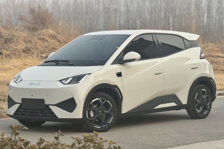 Used BYD Seagull 2025 Smart Drive Version 305 km Freedom Edition