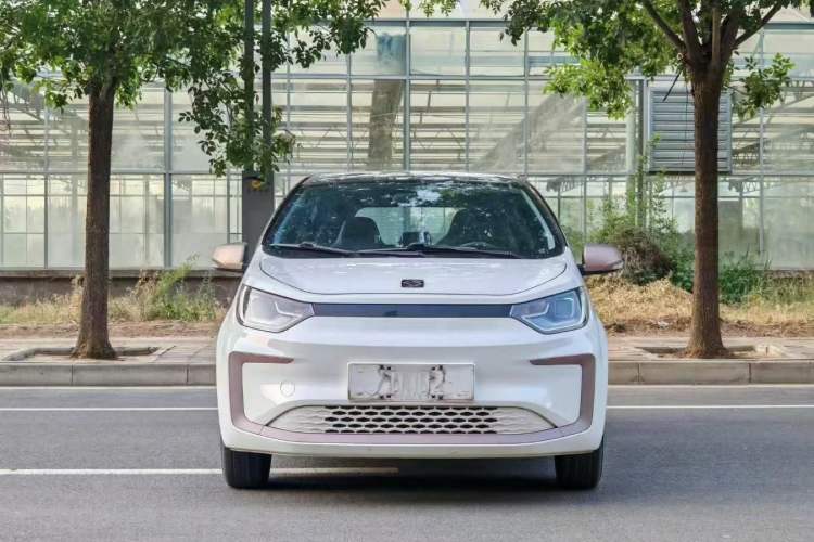 Used SOL E10X 2022 Flower Fairy Design Four-Leaf Clover
