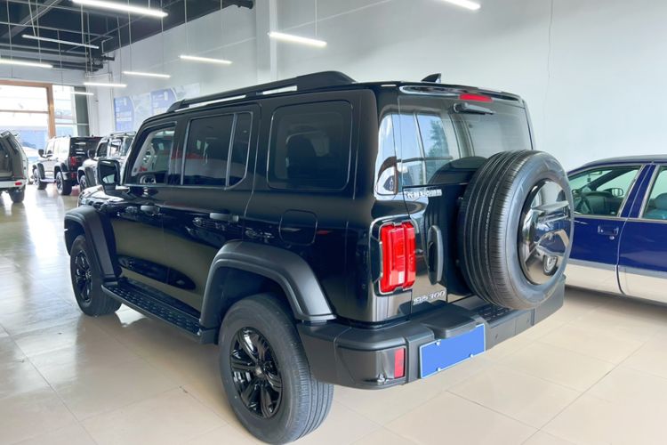 Used Tank 300 2024 2.0T Conqueror
