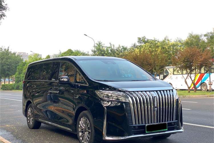 Used Wey Gaoshan 2023 Four-Wheel-Drive Executive Extended Version
