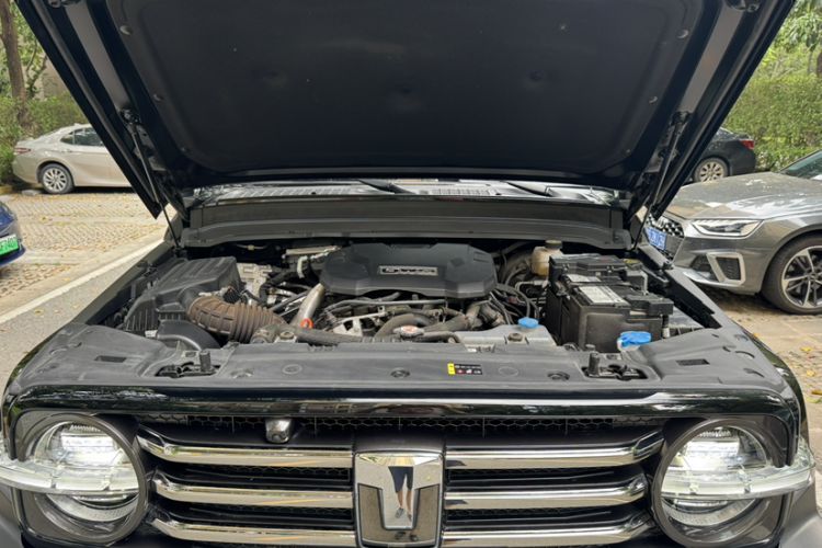 Used Tank 300 2024 2.0T Crosser
