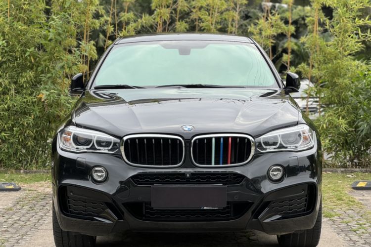 Used BMW X6 2019 xDrive35i M Sport Package